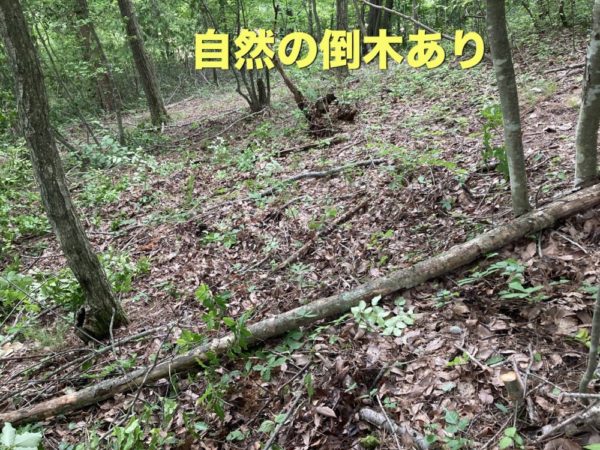 バイクトレッキングコースを作って遊ぶよ。