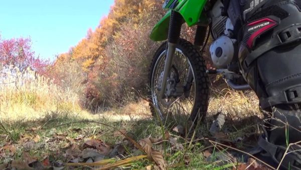 KLX125楽しいフラット林道レビュー「動画あり」